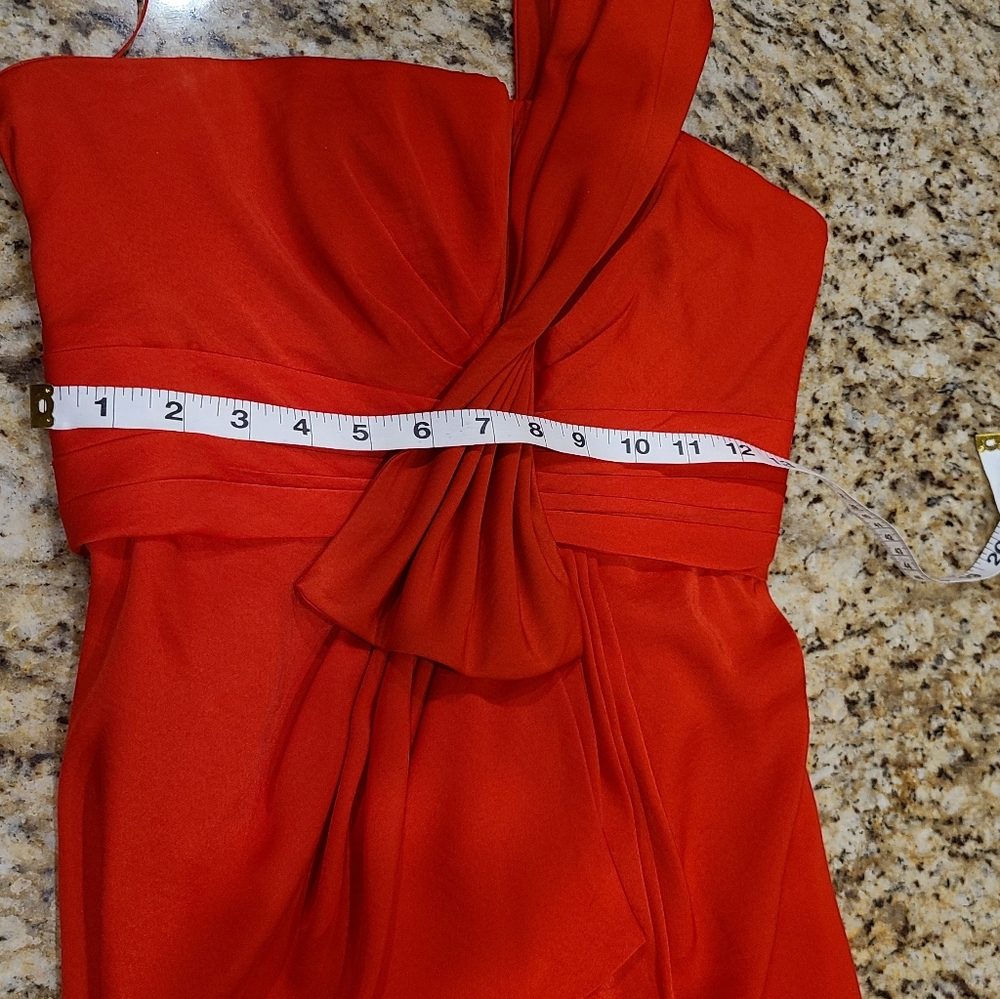 Dress Is A Stunner! - Picture 3 of 13